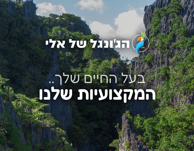 Read more about the article ELI'S JUNGLE UX|UI E-COMMERCE